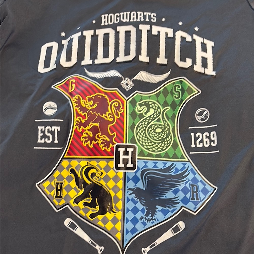 Universal Harry Potter Wizarding World Grey Quidditch Women’s Athletic Tee - Picture 5 of 5